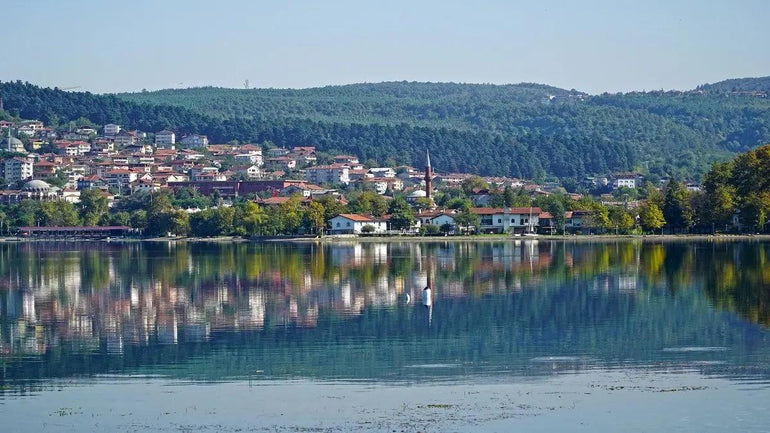 
                            Sakarya Fiat Yedek Parça ve Aksesuarları 
                        